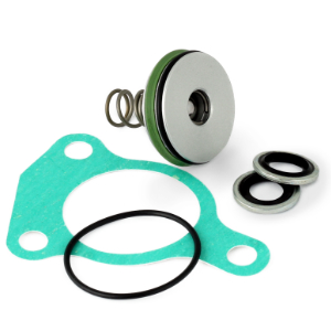 Clutch Slave Piston Kit